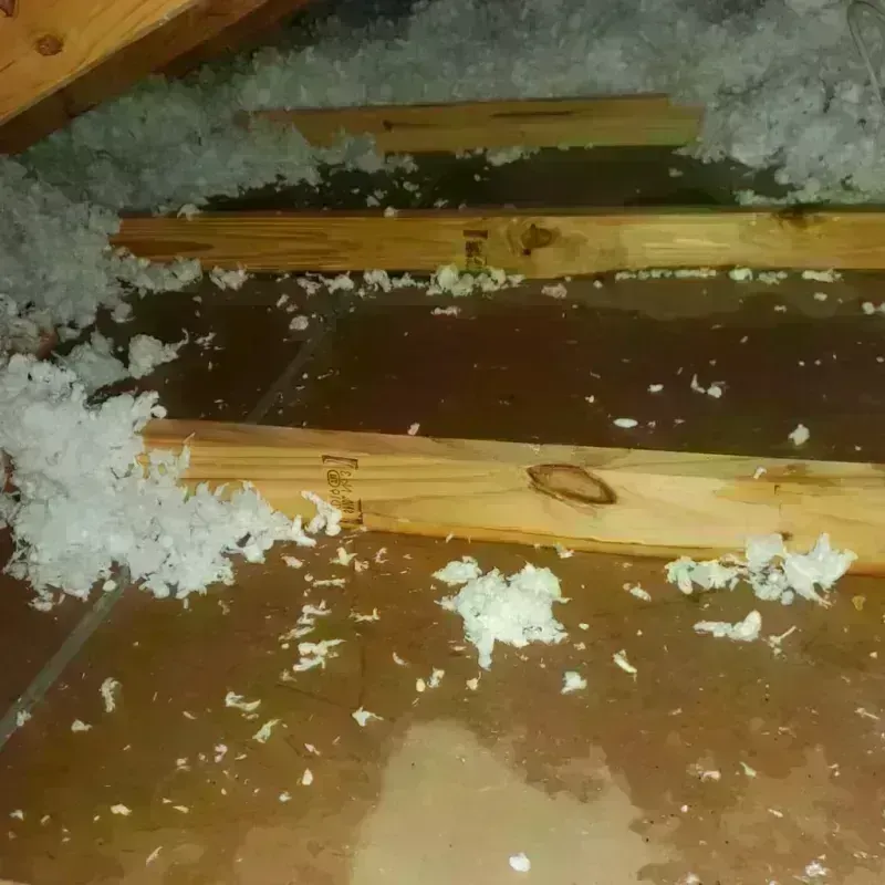 Attic Water Damage in Burbank, IL