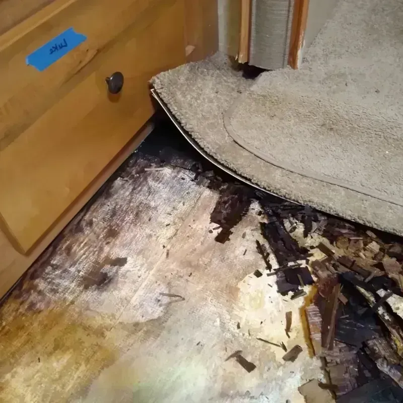 Best Wood Floor Water Damage Service in Burbank, IL